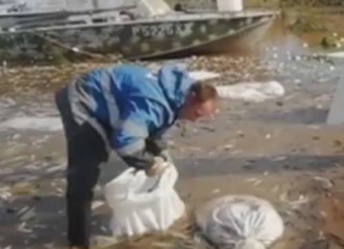 Возбуждено уголовное дело по факту незаконного вылова в ХМАО 5 тонн рыбы на 20 млн рублей