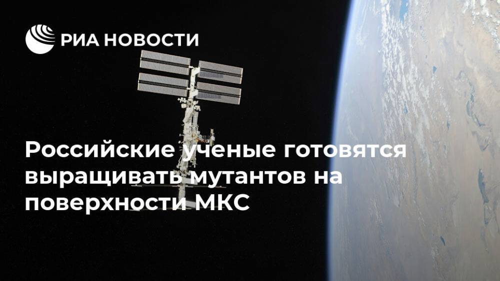 Российские ученые готовятся выращивать мутантов на поверхности МКС