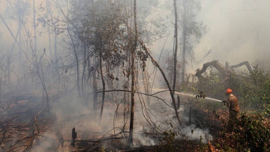 Ситуация с пожарами в лесах Амазонки близка к катастрофической