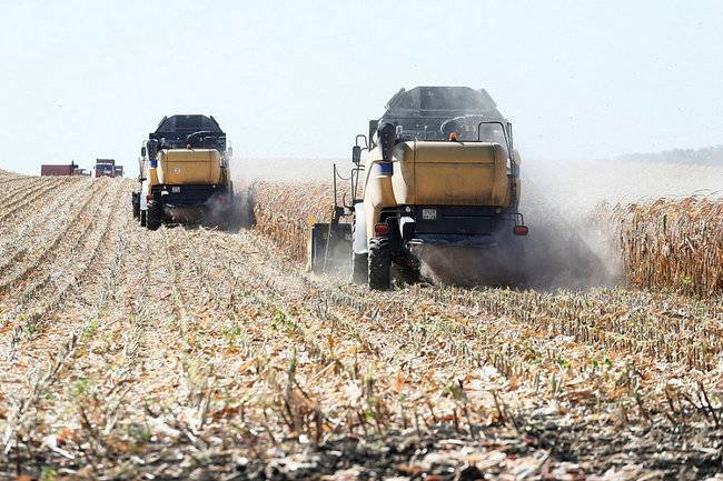 В Краснодарском крае по прогнозам урожай зернобобовых культур составит почти 14 млн тонн
