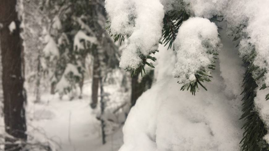 Жители Норильска делятся в соцсетях снимками первого осеннего снега