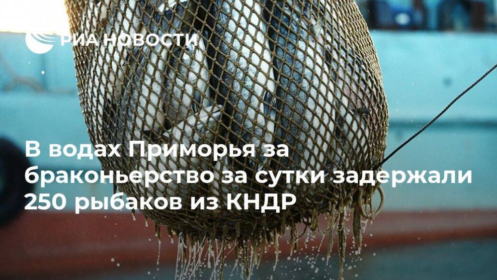 В водах Приморья за браконьерство задержали 250 рыбаков из КНДР за сутки