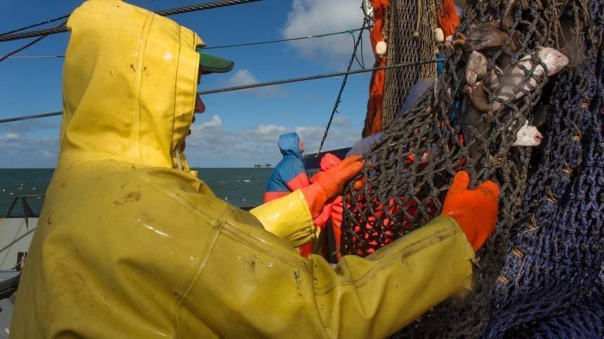 Более 250 нелегальных рыбаков из КНДР задержаны в Приморье