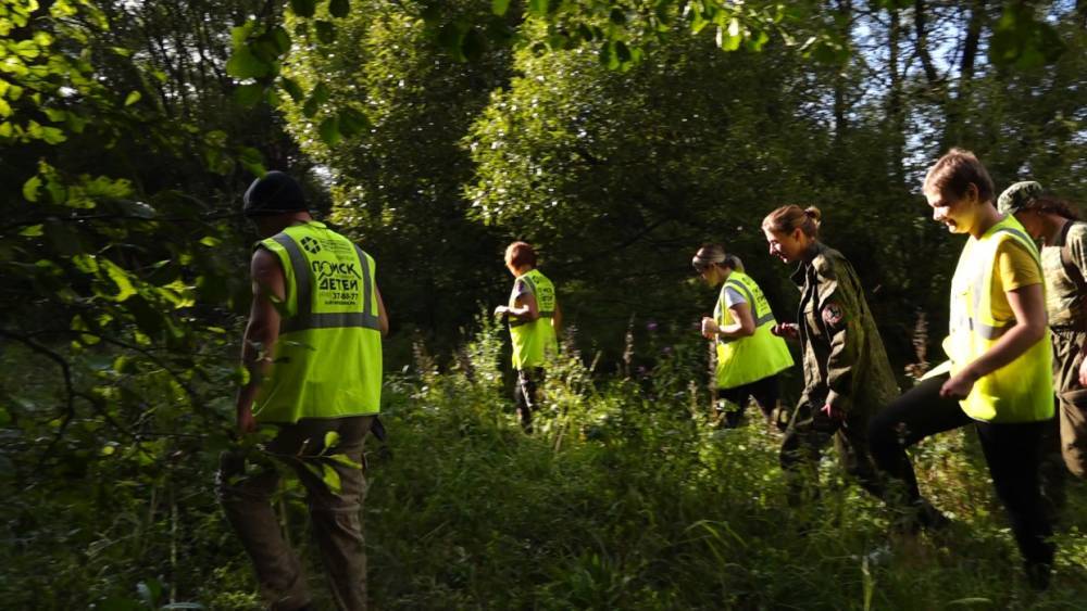 В Устюженском районе нашли тело пропавшей женщины