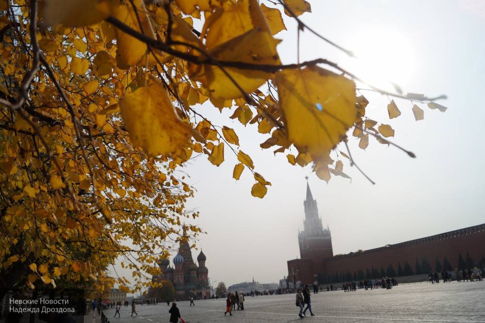 Синоптики объявили «желтый» уровень погодной опасности в Москве на 13 и 14 сентября