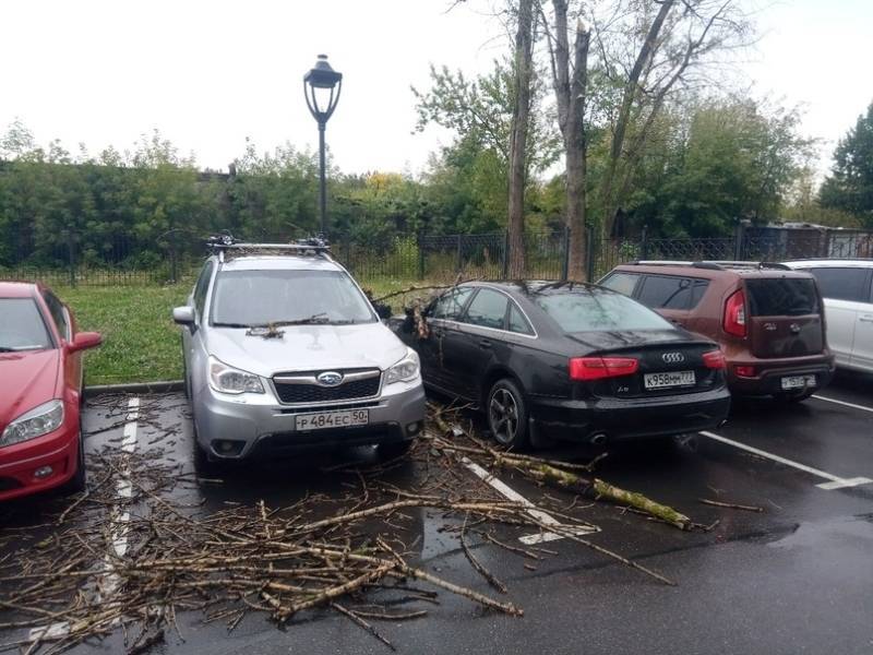 На Московском проспекте в ЖК «Граф Орлов» упавшее дерево придавило машины