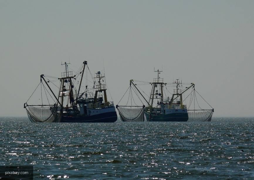 Власти России одобрили изменения в порядок выделения инвестиционных квот на рыбу