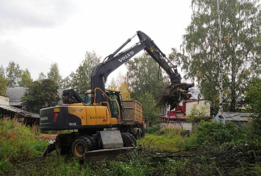 Более 20 стихийных свалок ликвидируют в Петрозаводске осенью