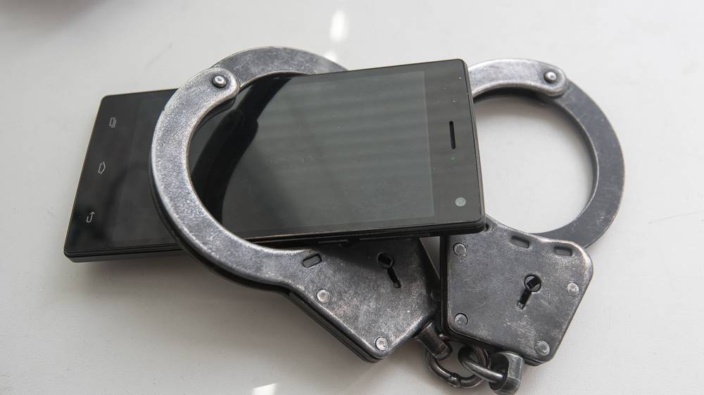 В Приморском районе петербуржец силой отобрал телефон у пятиклассницы