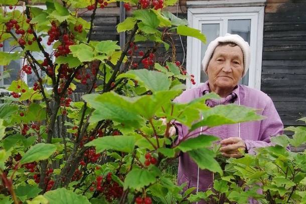 На границе Коми и Архангельской области пропала пожилая женщина