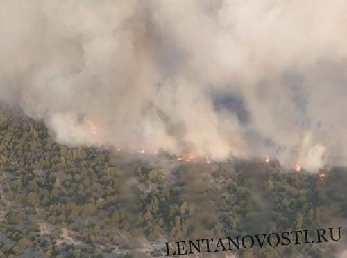 В Черниговской области горит лес на территории военного полигона