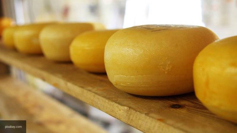 Ученые назвали полезные свойства сыра для здоровья