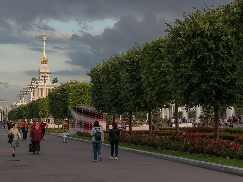 «Жёлтый» уровень опасности объявлен в Москве и области