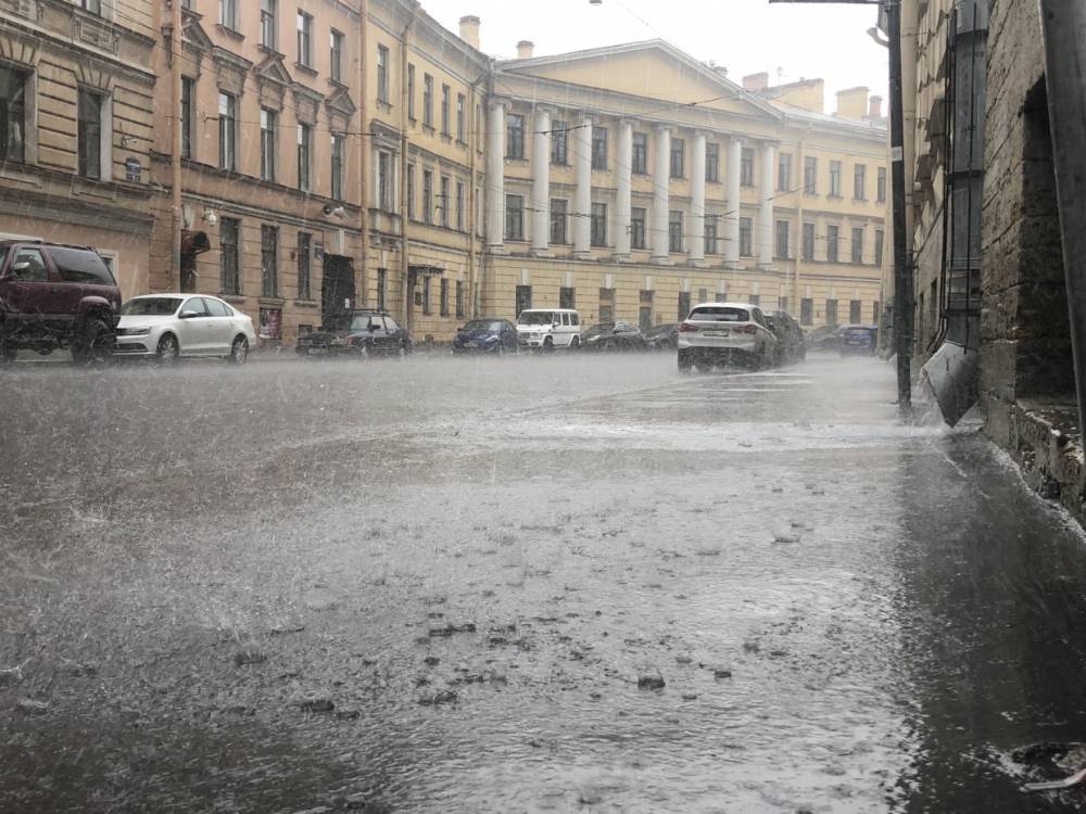 Днем в субботу на Петербург обрушится штормовой ветер