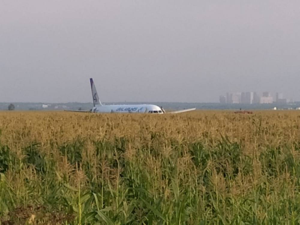 МАК подготовил промежуточный доклад по аварийной посадке Airbus A321