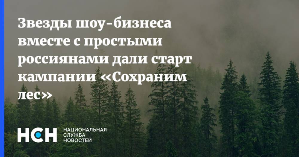 Звезды шоу-бизнеса вместе с простыми россиянами дали старт кампании «Сохраним лес»