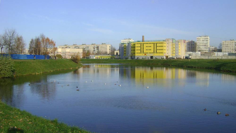 В Петербурге с местным жителями обсудили экологическую обстановку на реке Новая