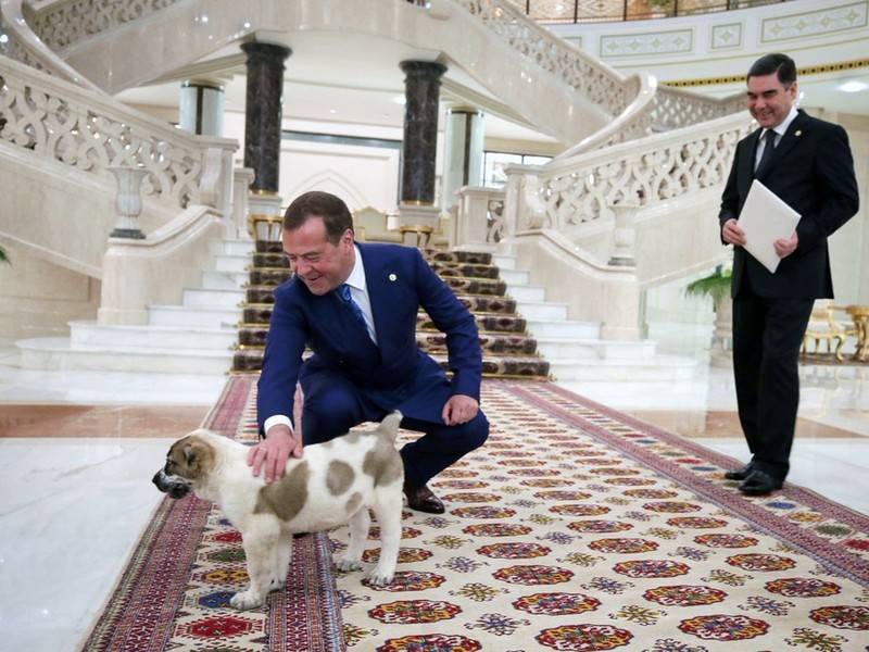 Президент Туркмении написал книгу о собаках
