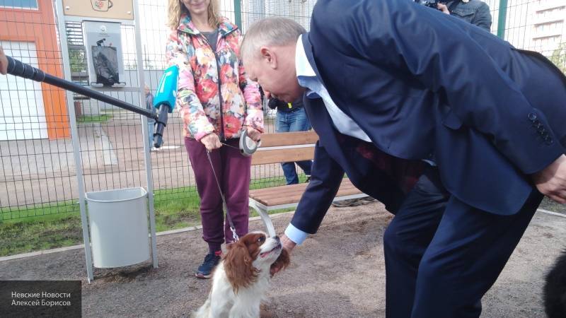 Жители Приморского района выразили благодарность Беглову за площадку для выгула собак