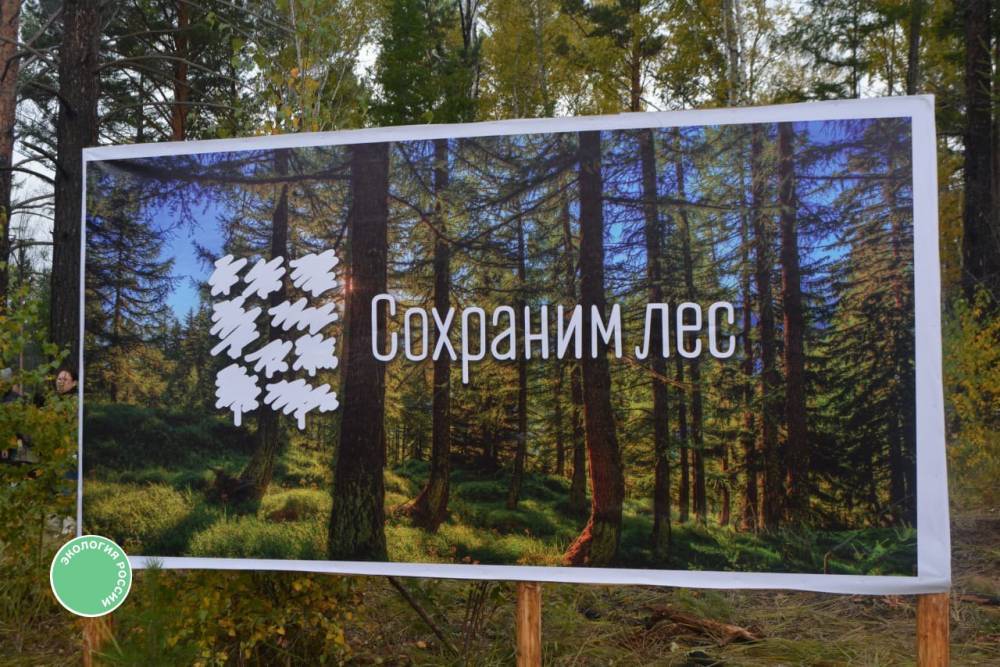 Акция "Сохраним лес" стартовала в России