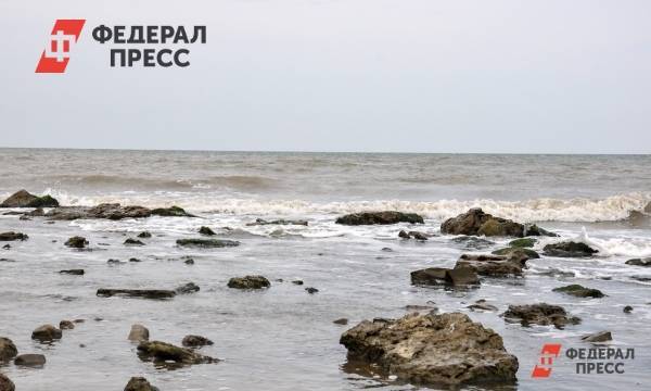 Устричные фермы в Крыму признали экологически опасными