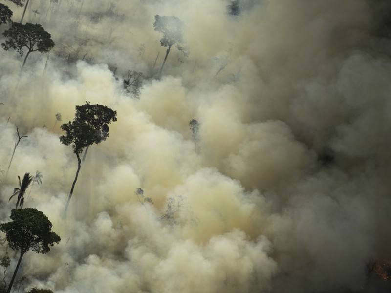 США и Бразилия создадут фонд сохранения лесов Амазонии