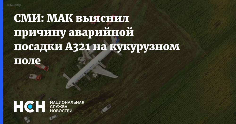 СМИ: МАК выяснил причину аварийной посадки А321 на кукурузном поле