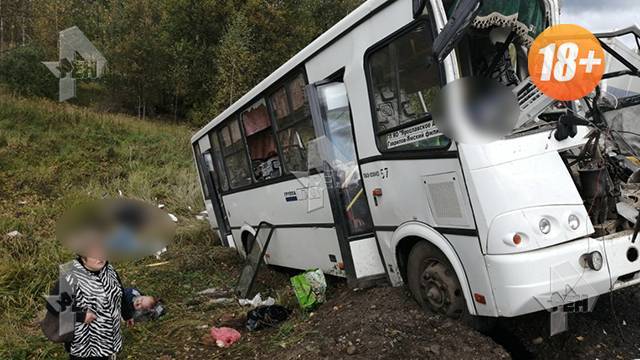 Владельцев автобуса проверяют после смертельного ДТП под Ярославлем