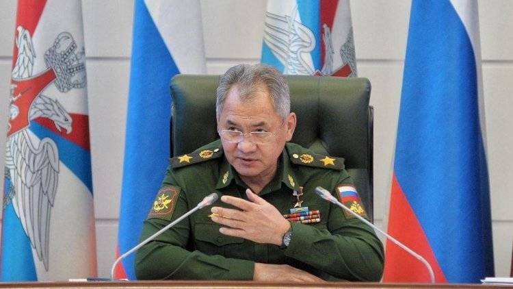 Шойгу заявил, что военные из РФ сделали все, чтобы вернуть Сирию к мирной жизни