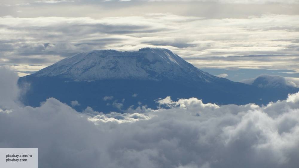 Люди с синдромом Дауна и ограниченными возможностями покорили Килиманджаро