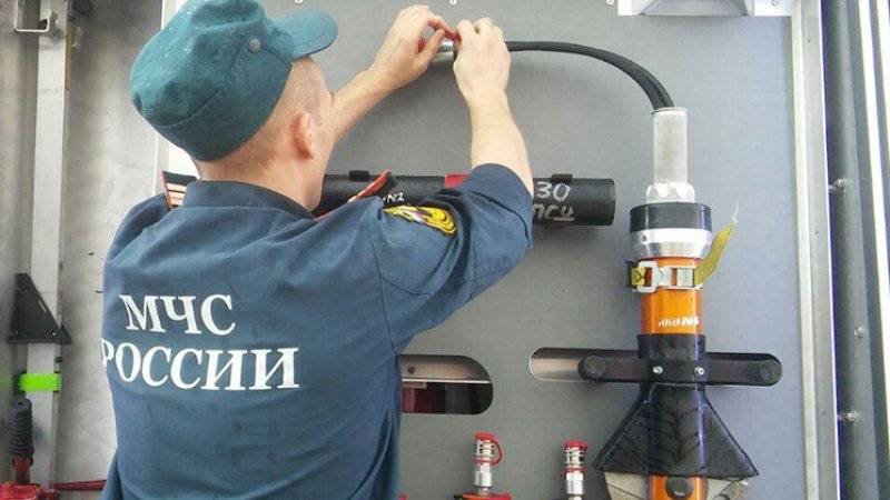 Немецкую бомбу времен ВОВ обнаружили на дереве в Крыму