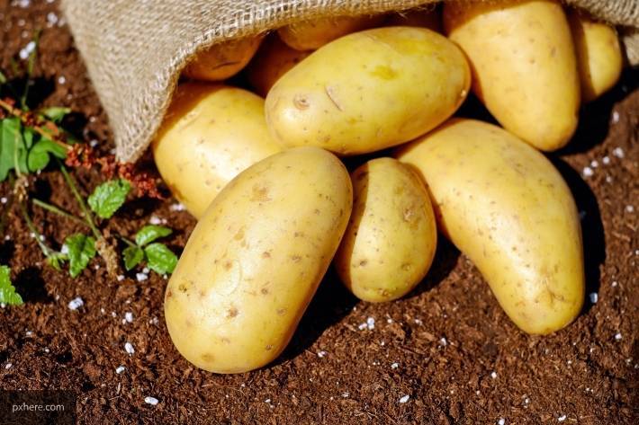 Картофельный газ стал причиной гибели четырех человек в Челябинской области