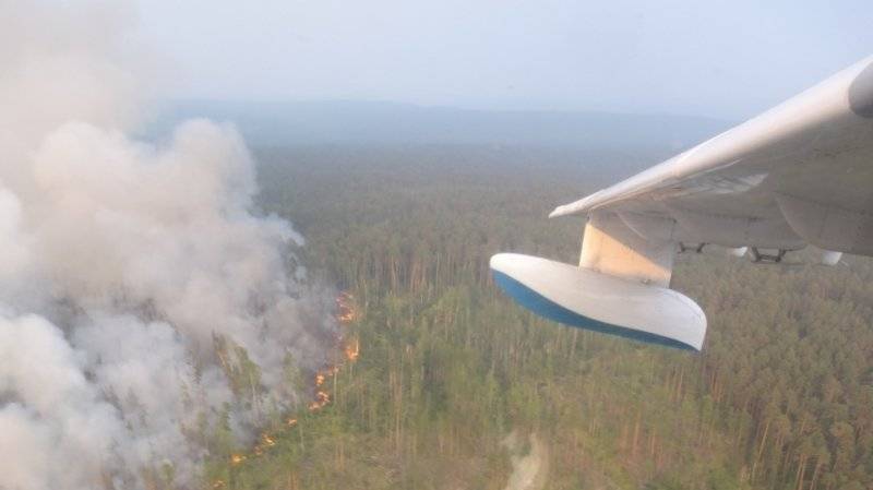 Площадь лесных пожаров в Сибири в результате активного тушения за сутки сократилась