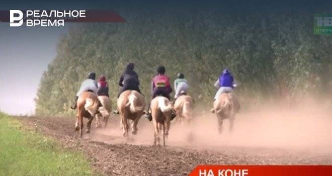 В Татарстане отметили День Коня — видео