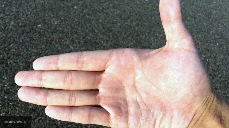 Ученые выяснили, что потерявшим руки художникам ноги заменили пальцы рук