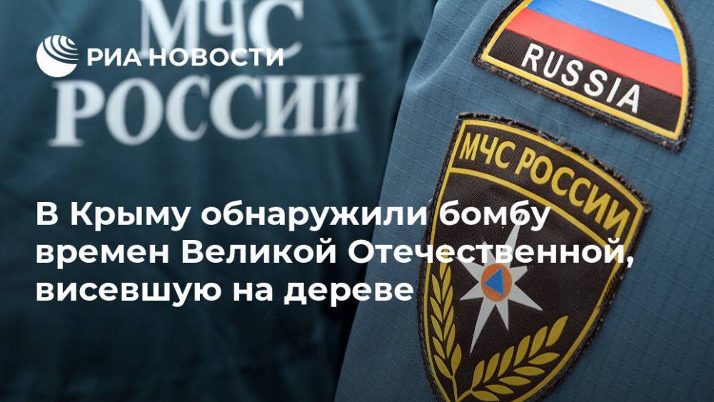 В Крыму обнаружили бомбу времен Великой Отечественной, висевшую на дереве