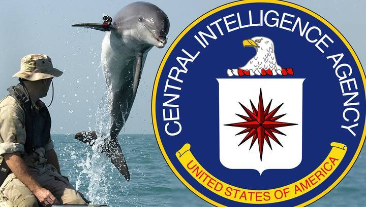 ЦРУ рассекретило документы об использовании животных для шпионажа