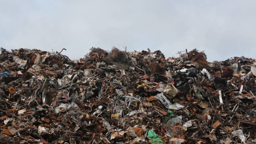 Новую мусорную реформу в Карелии поддержали экоактивисты