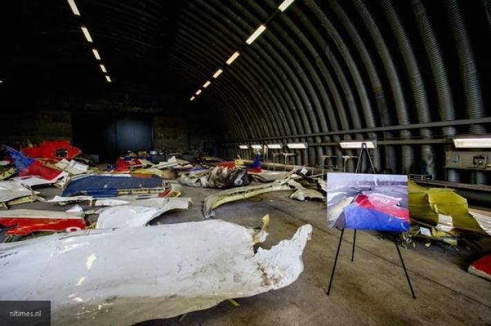 Гаспарян объяснил, почему Киев отпустил «ценного» свидетеля крушения MH17