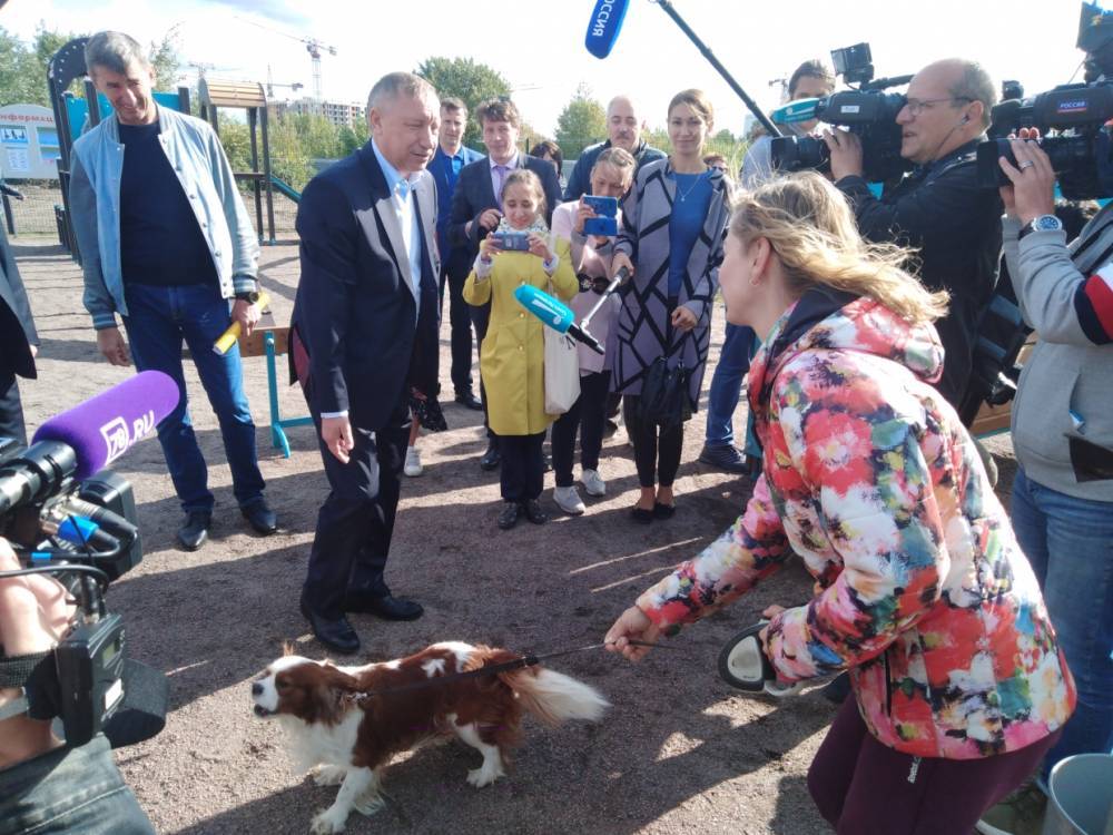 Жители Приморского района поблагодарили Беглова за обустройство площадки для выгула собак