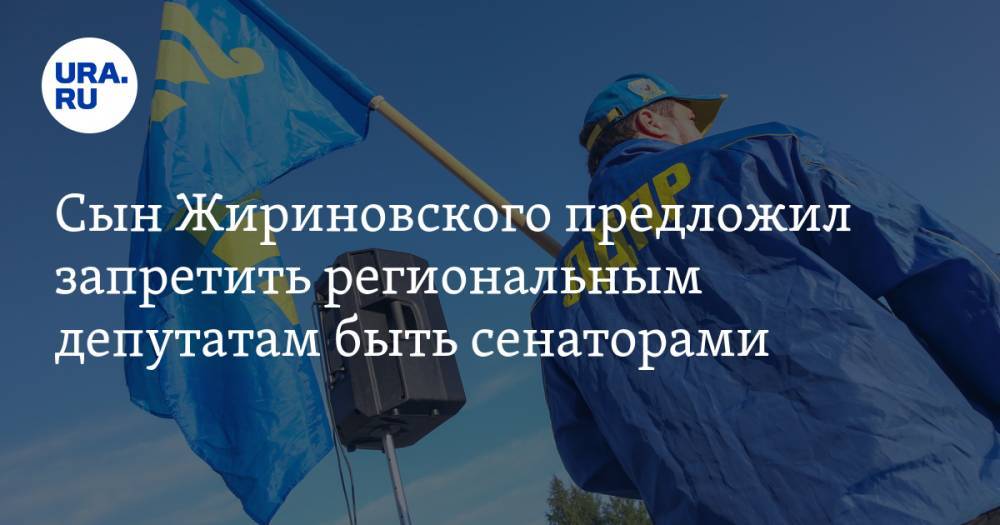 Сын Жириновского предложил запретить региональным депутатам быть сенаторами