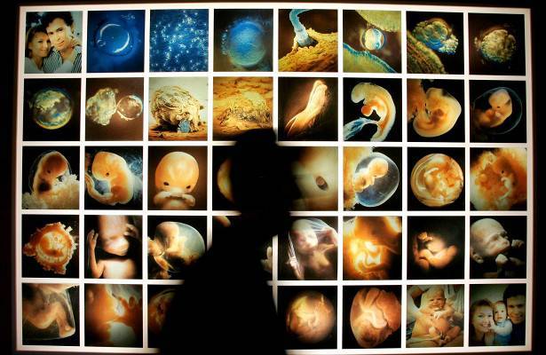 В доме гинеколога нашли тысячи эмбрионов