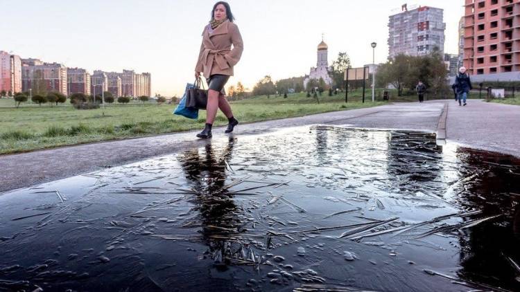 Синоптики назвали даты первых заморозков в Москве