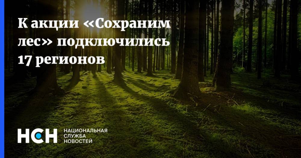 К акции «Сохраним лес» подключились 17 регионов