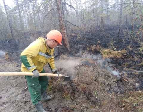 В Якутии за выходные сгорело 20 тыс. га лесов