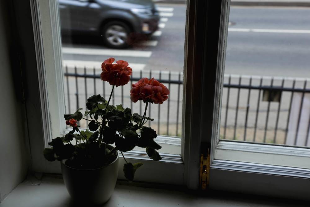 Выпавшая из окна на улице Ольги Форш петербурженка отмечала праздник с другом в розыске