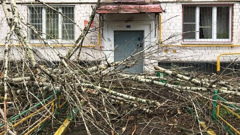 МЧС выпустило экстренное предупреждение из-за сильного ветра в Москве