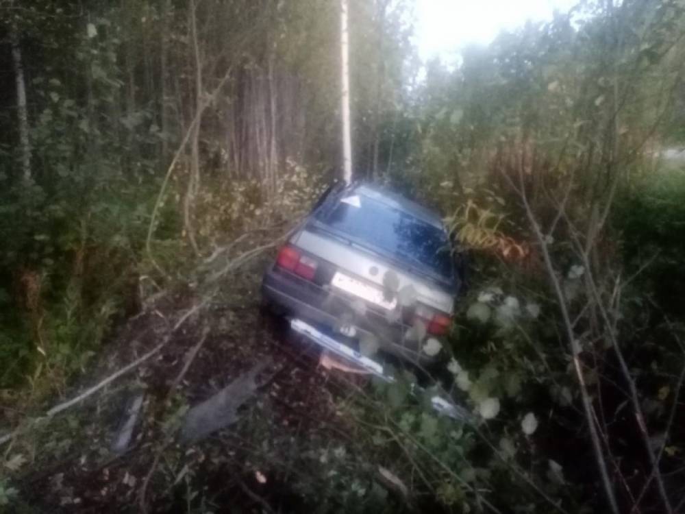В Коношском районе пьяный водитель скончался на месте ДТП