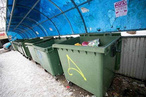 Депутаты Екатеринбурга предложили не брать с детей в многодетных семьях плату за мусор