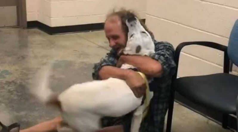 Трогательное воссоединение пропавшей собаки и ее бездомного хозяина попало на видео